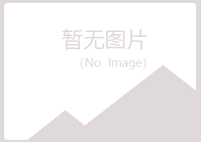 拜泉县晓夏能源有限公司